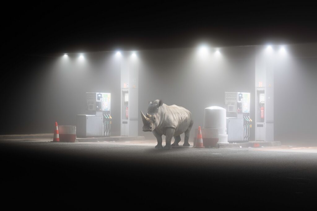 Un rhinocéros dans le brouillard d'uns station service de nuit